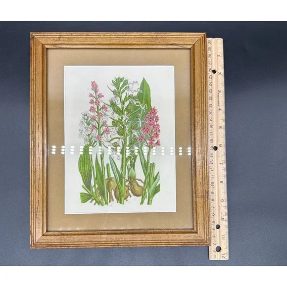 Vintage Botanical Art Print Pink Flower Wood Frame Anne Pratt 1855 Floral Matted - Picture 7 of 8